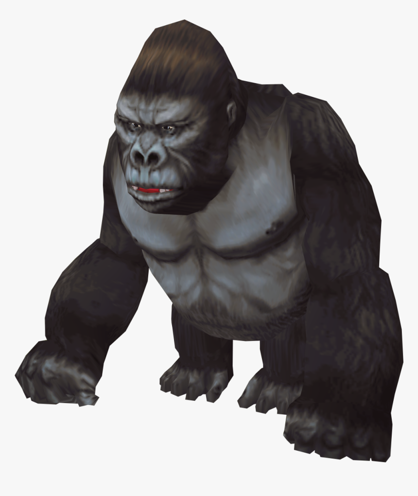 Gorilla Photo Background - Gorilla Png Transparent, Png Download, Free Download