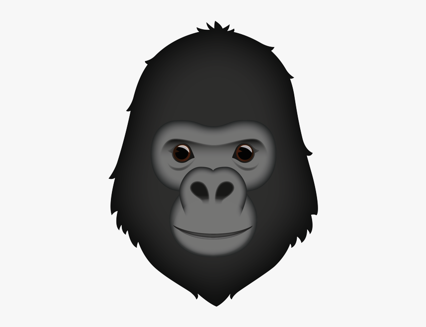Monkey, HD Png Download, Free Download