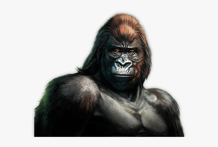 Gorilla™ - Gorilla Slot, HD Png Download, Free Download