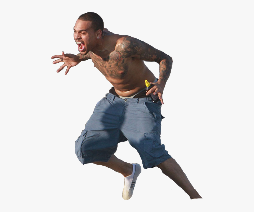 Chris Brown Gulls Dancer Hip-hop Dance - Chris Brown Attacked By Seagull, HD Png Download, Free Download