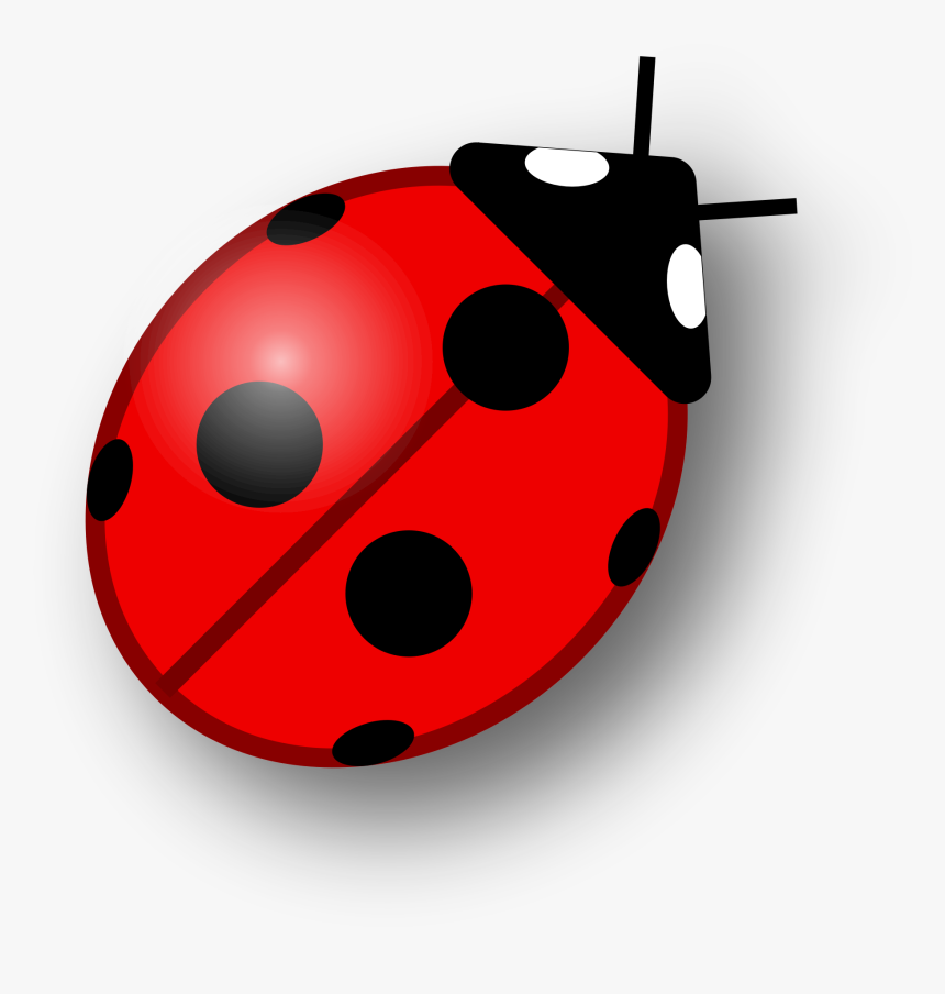 Transparent Lady Bug Png - Ladybird Png, Png Download, Free Download