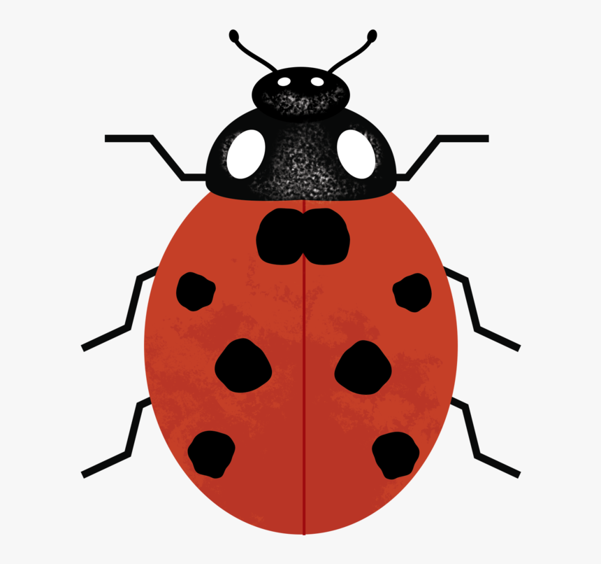 Ladybug, HD Png Download, Free Download