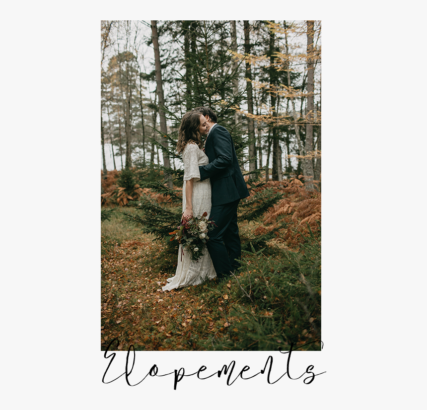 Sarah Longworth Photography Elopements - Old-growth Forest, HD Png Download, Free Download