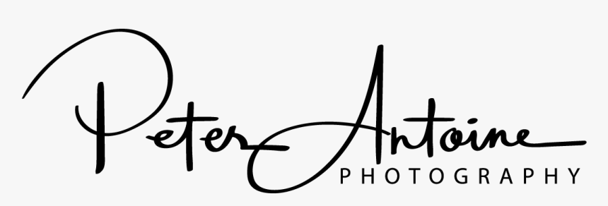 Logo For A Photographer, HD Png Download, Free Download