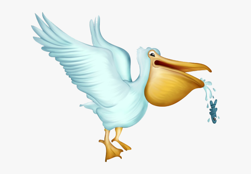 Pelican Png Free Download - Pelican Cartoon Png, Transparent Png, Free Download