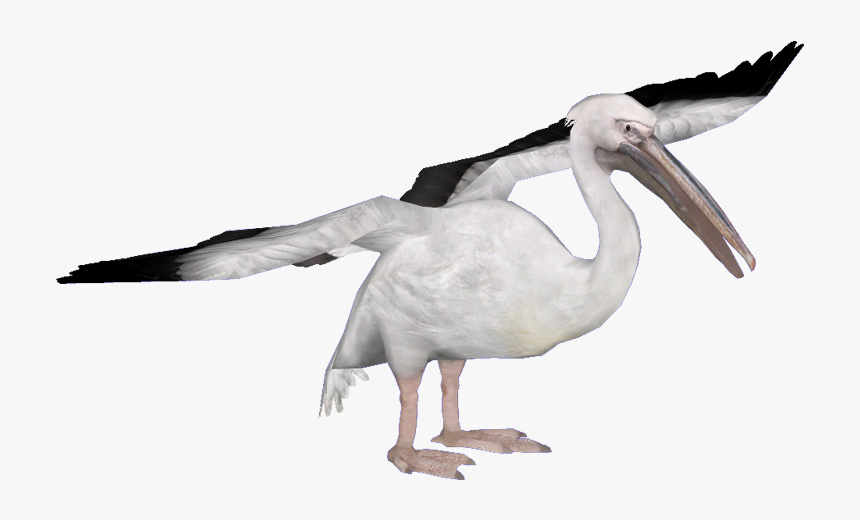 Spoonbill, HD Png Download, Free Download
