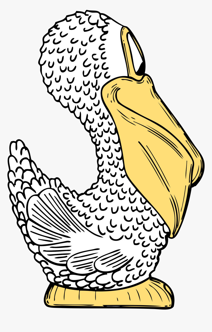 Pelican Side View Clip Arts - Clip Art, HD Png Download, Free Download