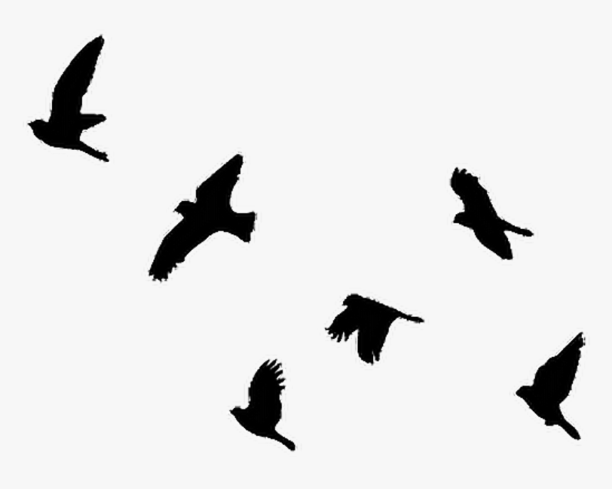 Bird Flight Clip Art Pigeons And Doves Image - Birds Flying Silhouette Tattoo, HD Png Download, Free Download