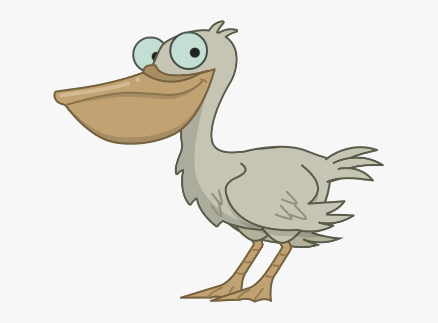 Pelican - Cartoon, HD Png Download, Free Download