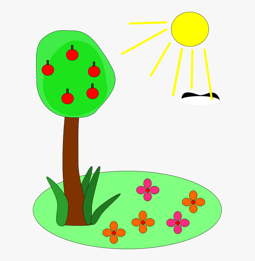 Summer Clip Art, HD Png Download, Free Download