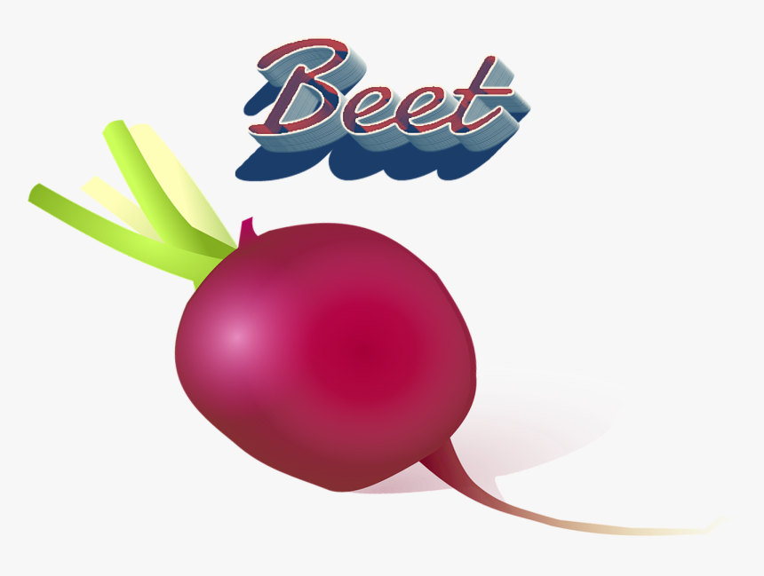 Beet Png Clipart - Vegetable, Transparent Png, Free Download