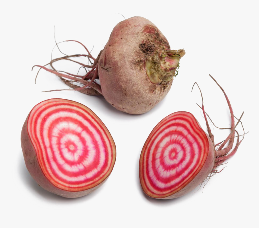 Chioggia Beet - Chioggia Beets, HD Png Download, Free Download