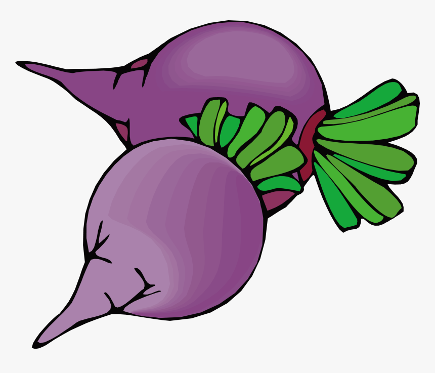 Beetroot Sugar Beet Vegetable Clip Art - Beets Clipart, HD Png Download, Free Download