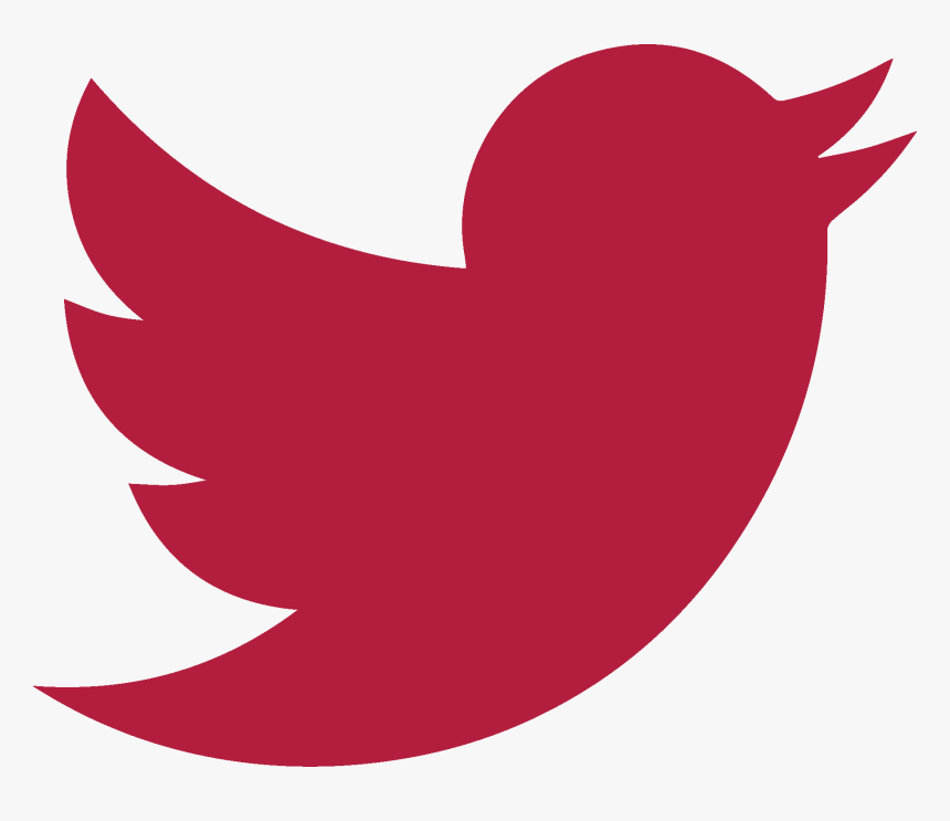 @alexslemonade, Twitter Logo - Red Twitter Logo Transparent, HD Png Download, Free Download