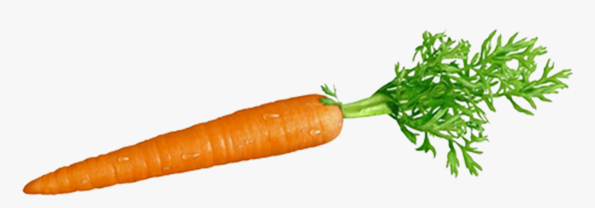 Carrot And Stick Png - Transparent Background Carrot Transparent, Png Download, Free Download