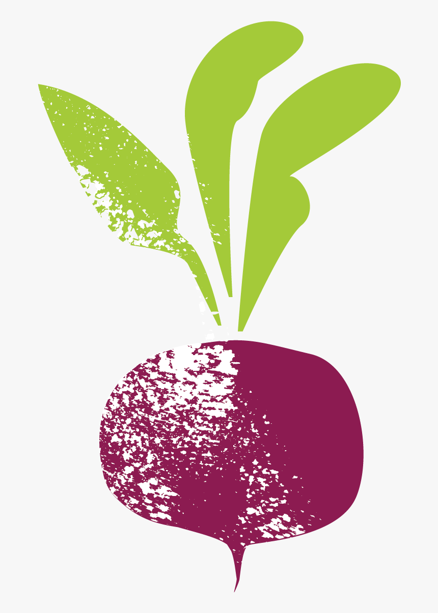 Please Don"t Beet Yourself Up About It - Illustration, HD Png Download, Free Download