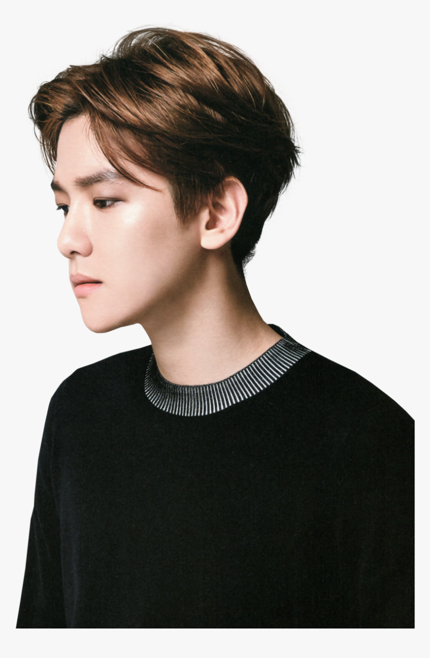 Exo, Baekhyun, And Exo-k Image - Baekhyun Exo Luxion Scan, HD Png Download, Free Download