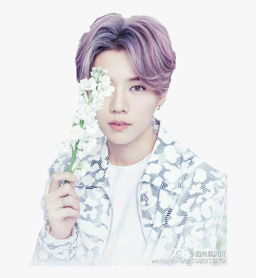 Pastel Luhan Exo , Png Download - Luhan Exo Purple Hair, Transparent Png, Free Download