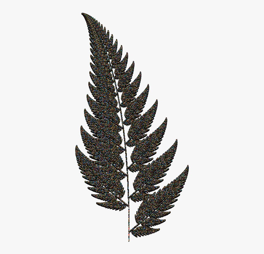 Fern4b - Fern Black Transparent, HD Png Download, Free Download