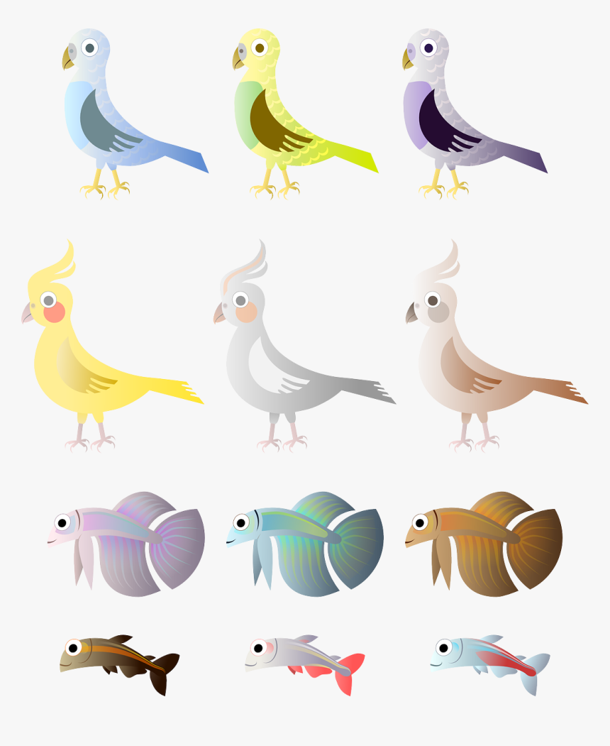 Simple Birds And Fishes 555px - Dibujos De Aves Y Peces, HD Png Download, Free Download