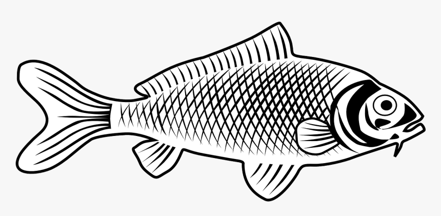 Fish Images Line Art, HD Png Download, Free Download