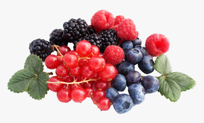 Berries Png File - Berries Png, Transparent Png, Free Download