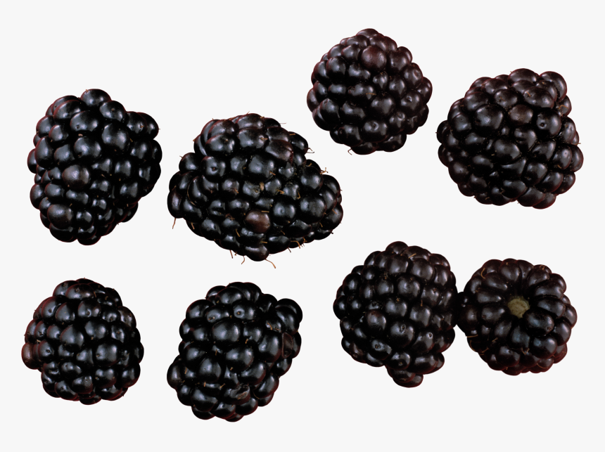 Blackberries Png, Transparent Png, Free Download