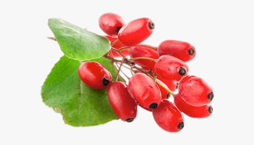 Fresh Goji Berries - Fruit Indian Barberry, HD Png Download, Free Download