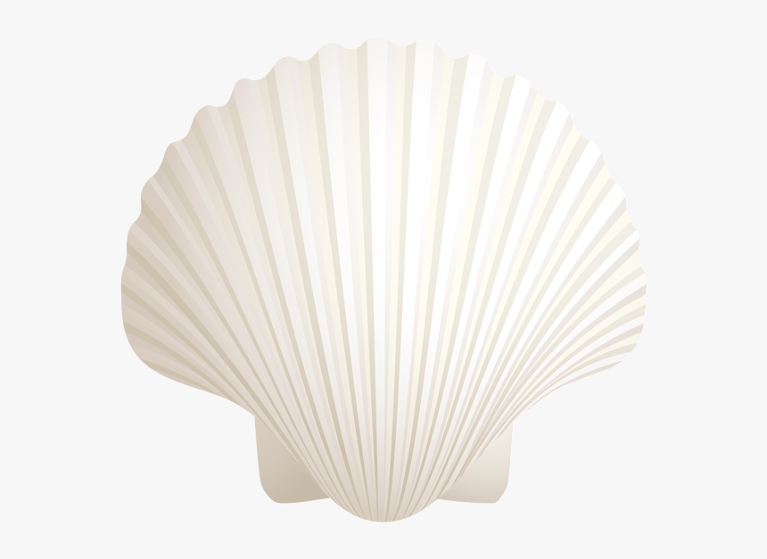 Shell, HD Png Download, Free Download