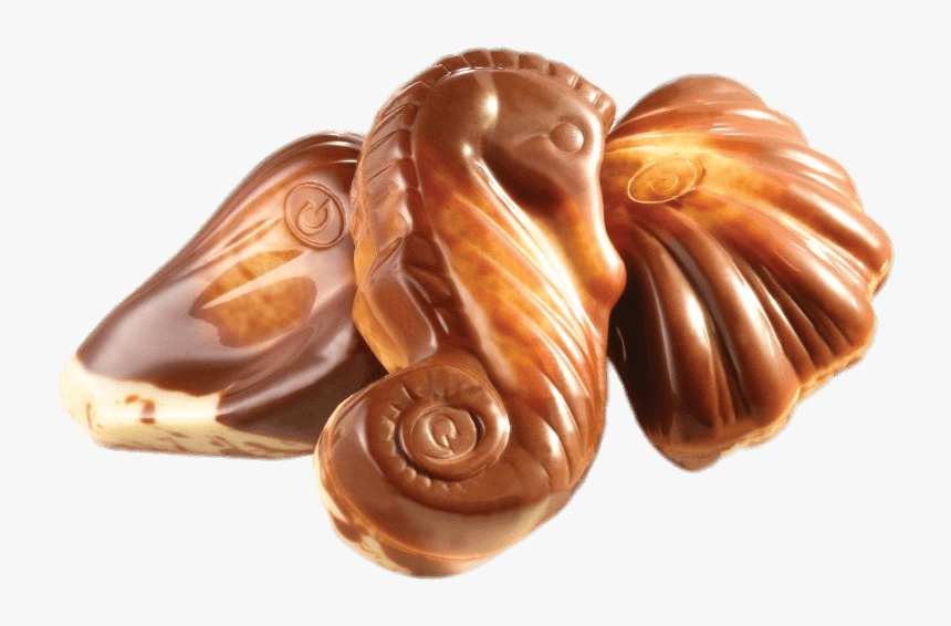 Guylian Chocolate Seashells, HD Png Download, Free Download