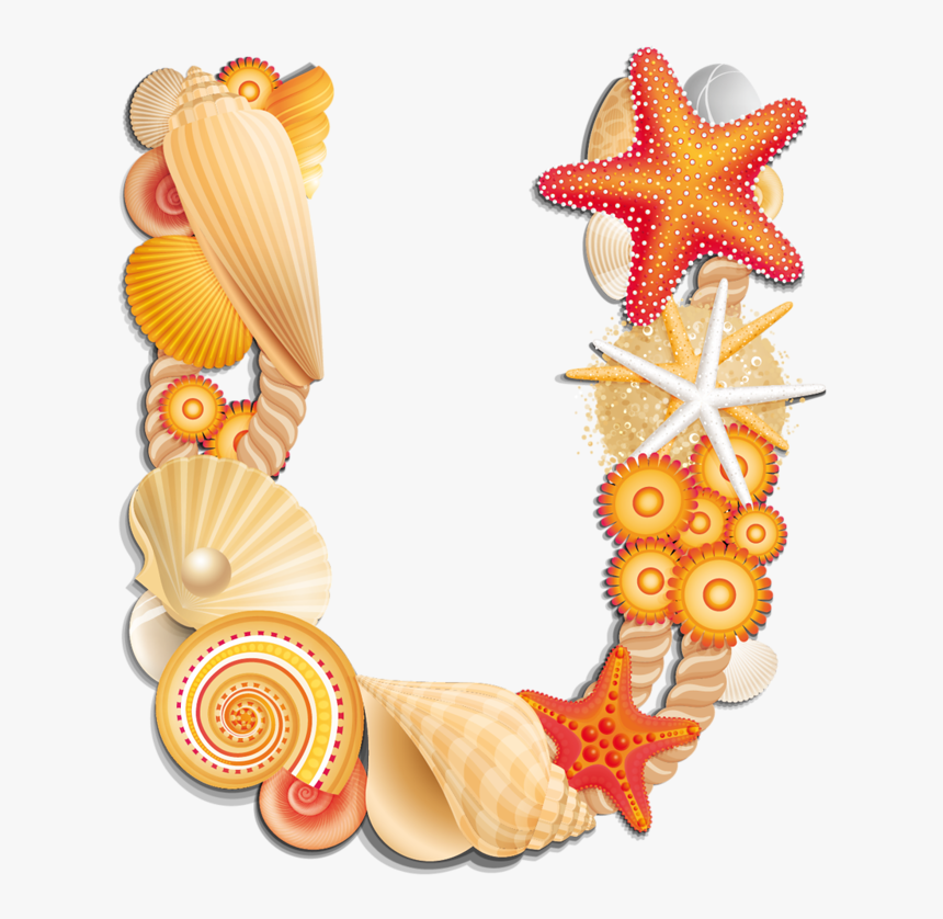 Letter I With Seashells, HD Png Download, Free Download