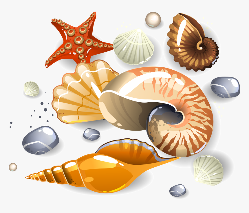 Seashell On Sand Cartoon, HD Png Download, Free Download