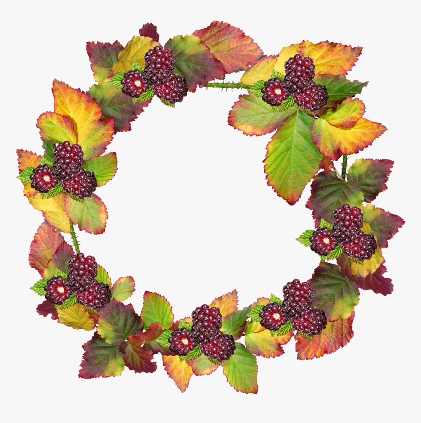 Leaves, Wreath, Frame, Border Autumn, Fall, Berries - Frame Autumn, HD Png Download, Free Download