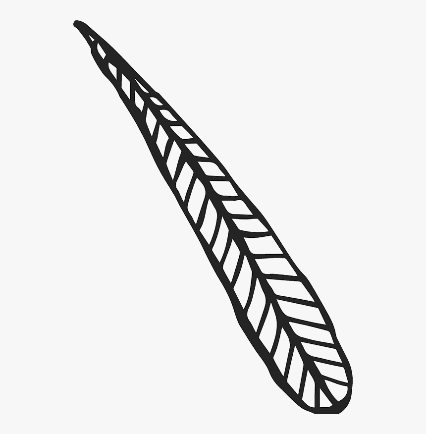 Long Leaf Sketch Rubber Stamp, Hd Png Download, Transparent Png, Free Download