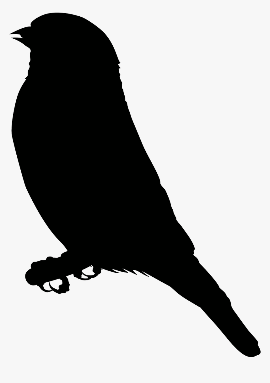 Eagle Clipart Black, HD Png Download, Free Download