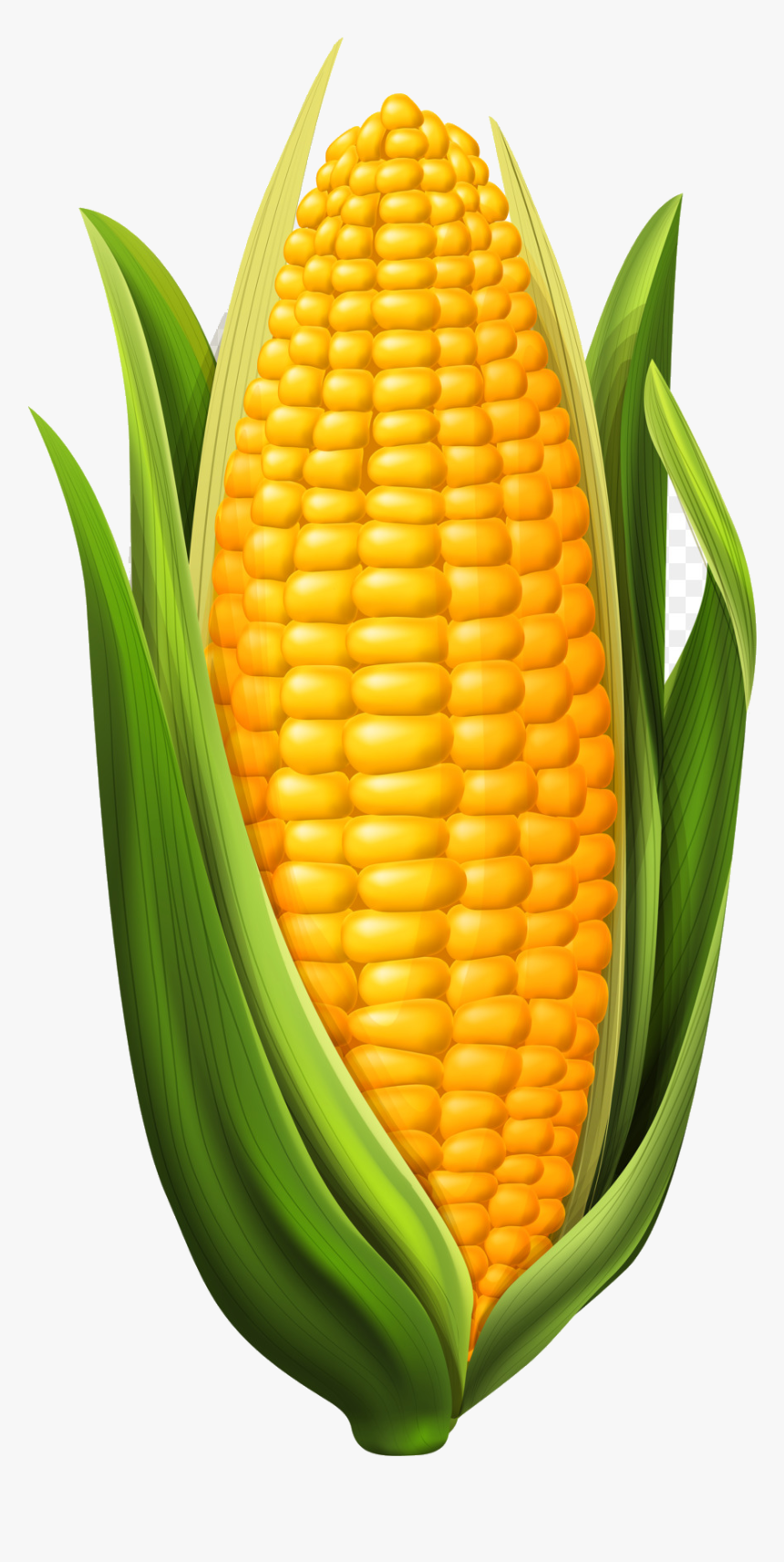 Corn Candy Clipart Food Transparent Clip Art Png - Clipart Corn On The Cob, Png Download, Free Download