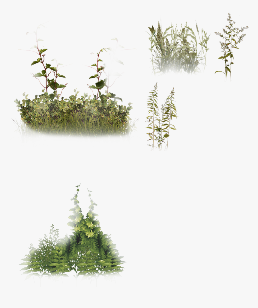 Groundcover Png - Torque 3d - Creating Foliage - Png Ground Cover, Transparent Png, Free Download