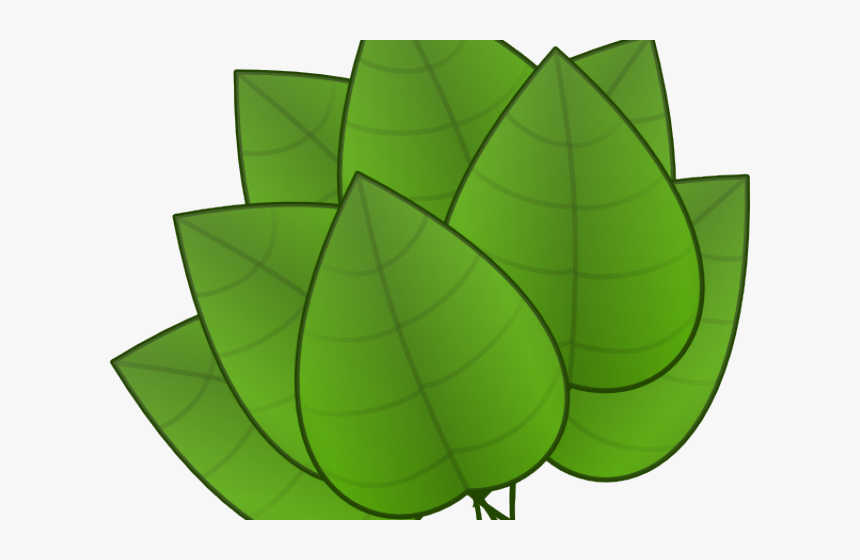 Foliage Clipart Dahon - Parts Of The Plants Leaf, HD Png Download, Free Download