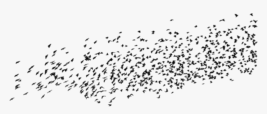 Birds, Silhouette, Animals, Flying, Migrating - Birds Silhouette Flying, HD Png Download, Free Download