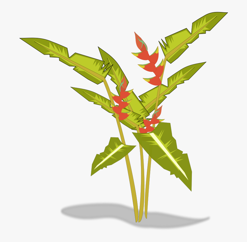 Transparent Tropical Plants Png - Heliconia Clipart, Png Download, Free Download