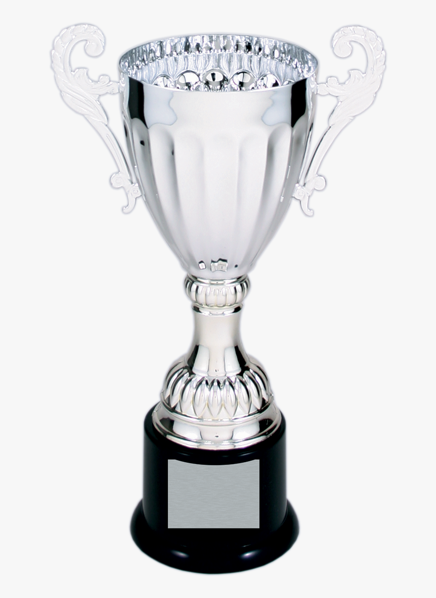 Transparent Silver Trophy Png, Png Download, Free Download