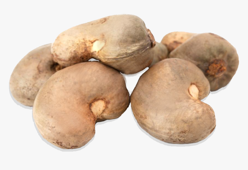 Transparent Cashew Nuts Png - Cashew Nut Shell Png, Png Download, Free Download
