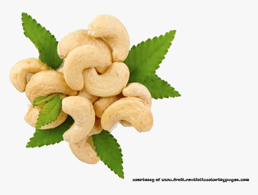 Rambutan Clipart Cashew Nut - Cashew Nut Clipart, HD Png Download, Free Download