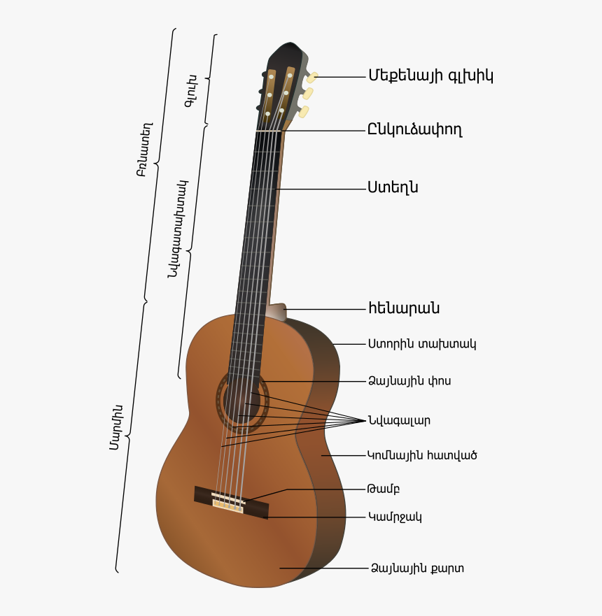 Transparent Indian Music Instruments Png - Parts Of A Classical Guitar, Png Download, Free Download