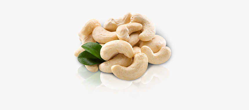 Cashew, HD Png Download, Free Download