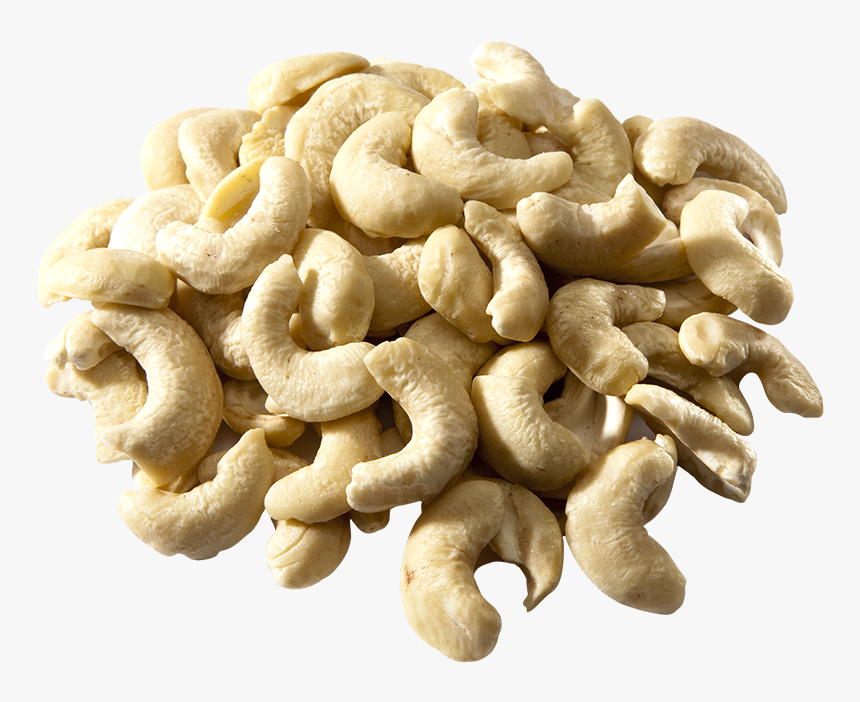 Raw Organic Cashew Nuts - Cashew, HD Png Download, Free Download