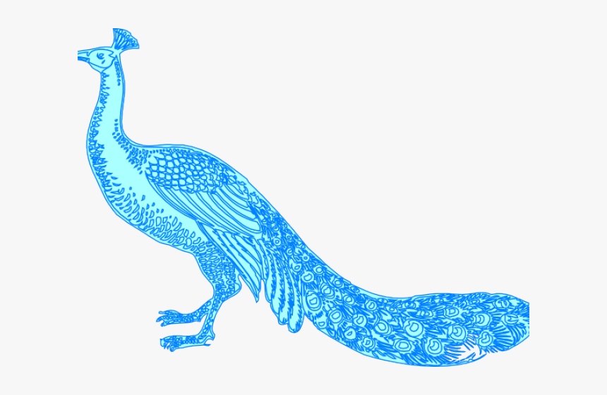 Peacock Cliparts - Peacock Images In Png Line Art, Transparent Png, Free Download