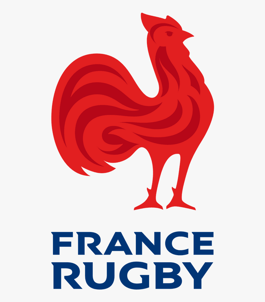 Coupe Du Monde De Rugby 2019, HD Png Download, Free Download