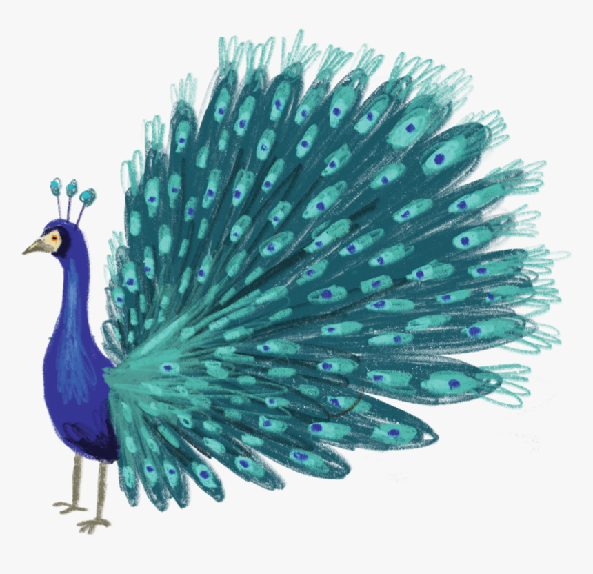 Blue Peacock, HD Png Download, Free Download