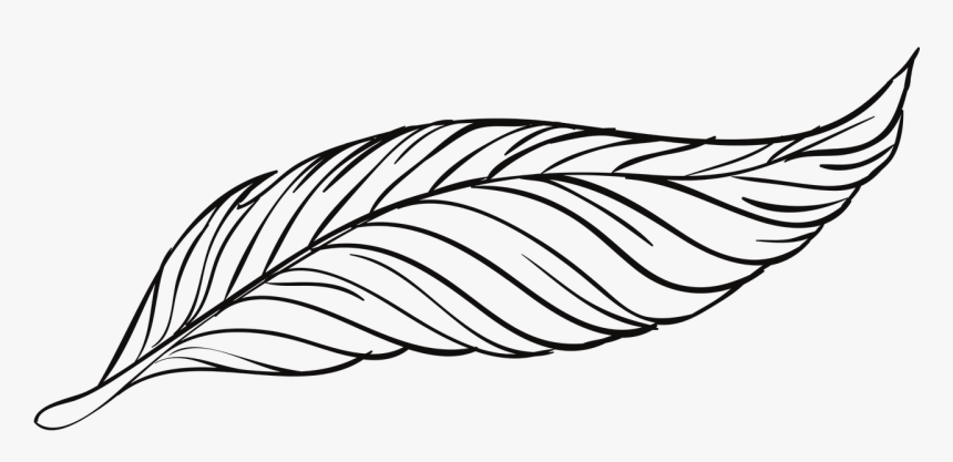 Turkey Feather Clipart Black And White, HD Png Download, Free Download